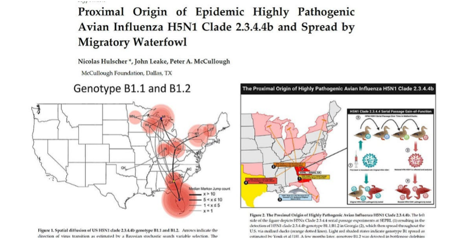 Ground Zero on Our Own Soil? The Real Pandemic