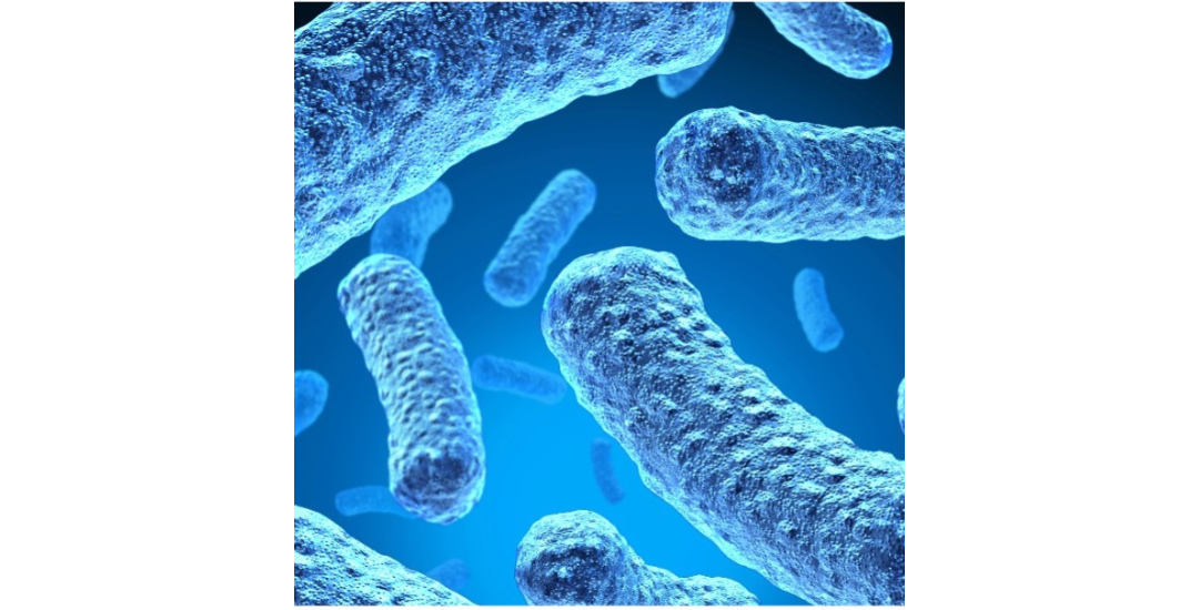 Is Leaky Gut Sabotaging Your Health?