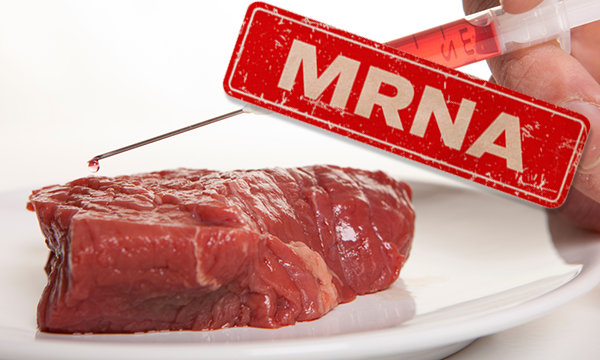 Dr. McCullough: China's Latest Bioweapon. How You Can Stay Safe.