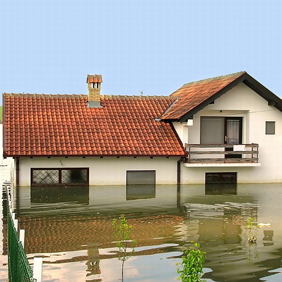 Natural Disasters Are on the Rise
