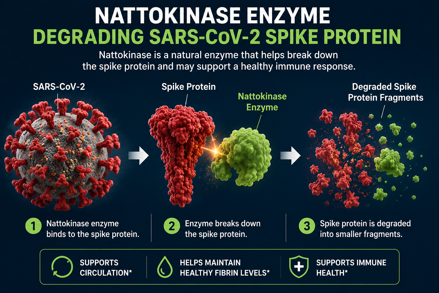 Can Nattokinase Really Break Down Spike Proteins?