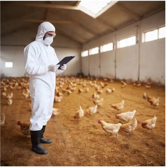 2 weeks to Flatten the Curve- Again?