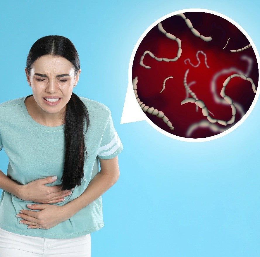 Parasites Aren’t Just Ugly