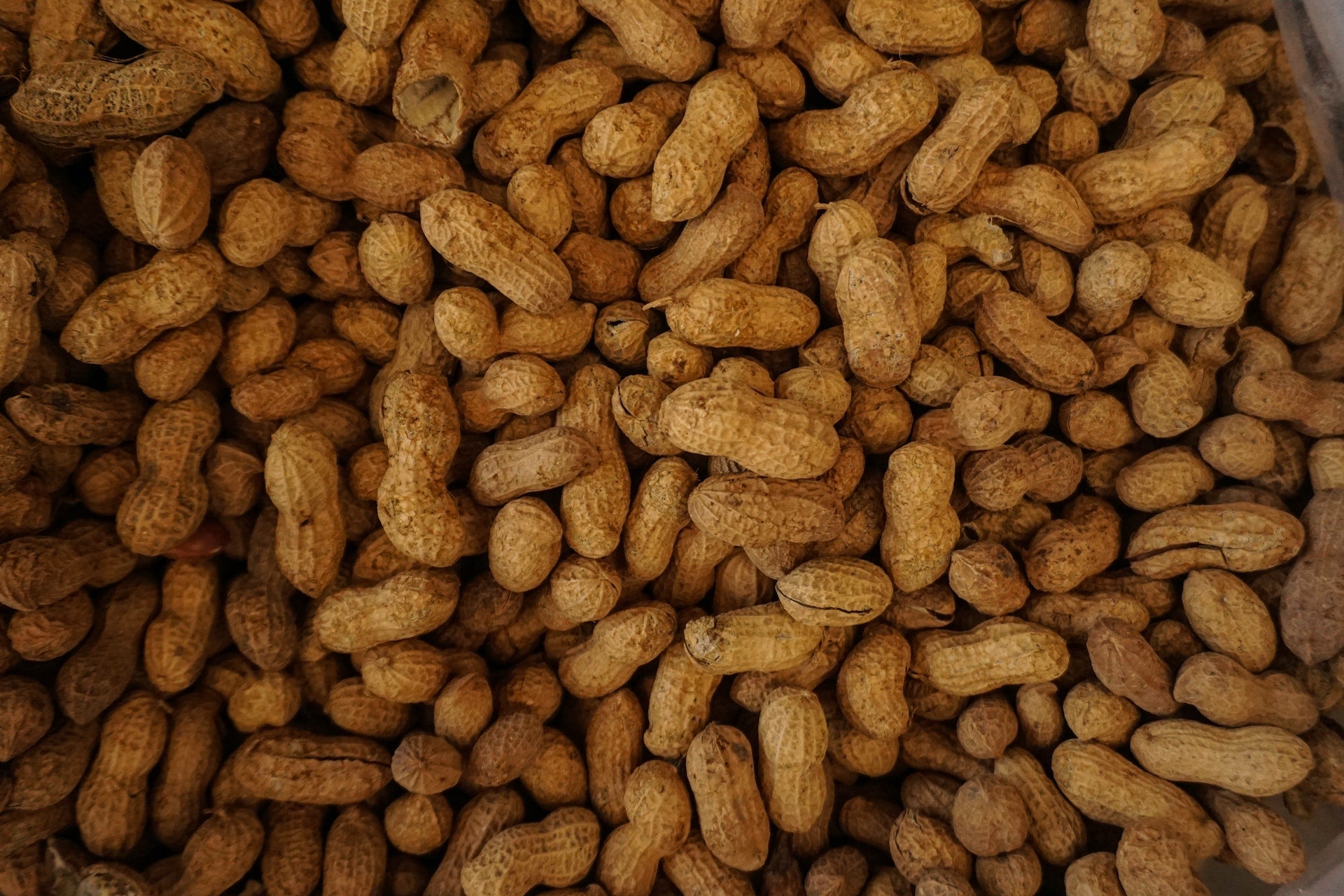 2023 Study Confirms Promising New Treatment for Peanut Allergies