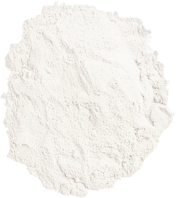 Lactobacillus Rhamnosus