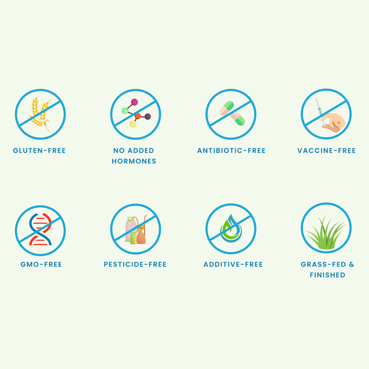 Bison Heart The Wellness Company