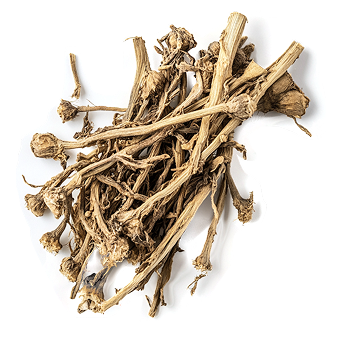 Valerian Root