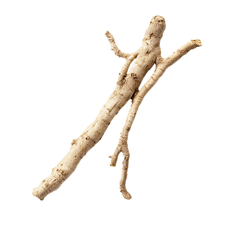 Ashwagandha Root