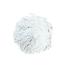 Lactobacillus Reuteri