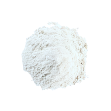 Lactobacillus Reuteri