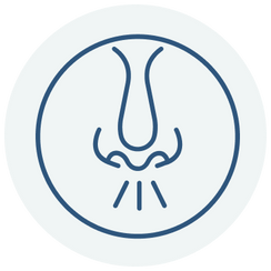 Allergy & Sinus Support