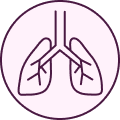 Bullet icon