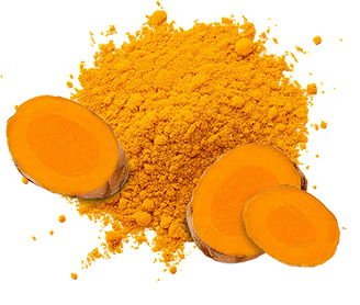 Turmeric Root Extract