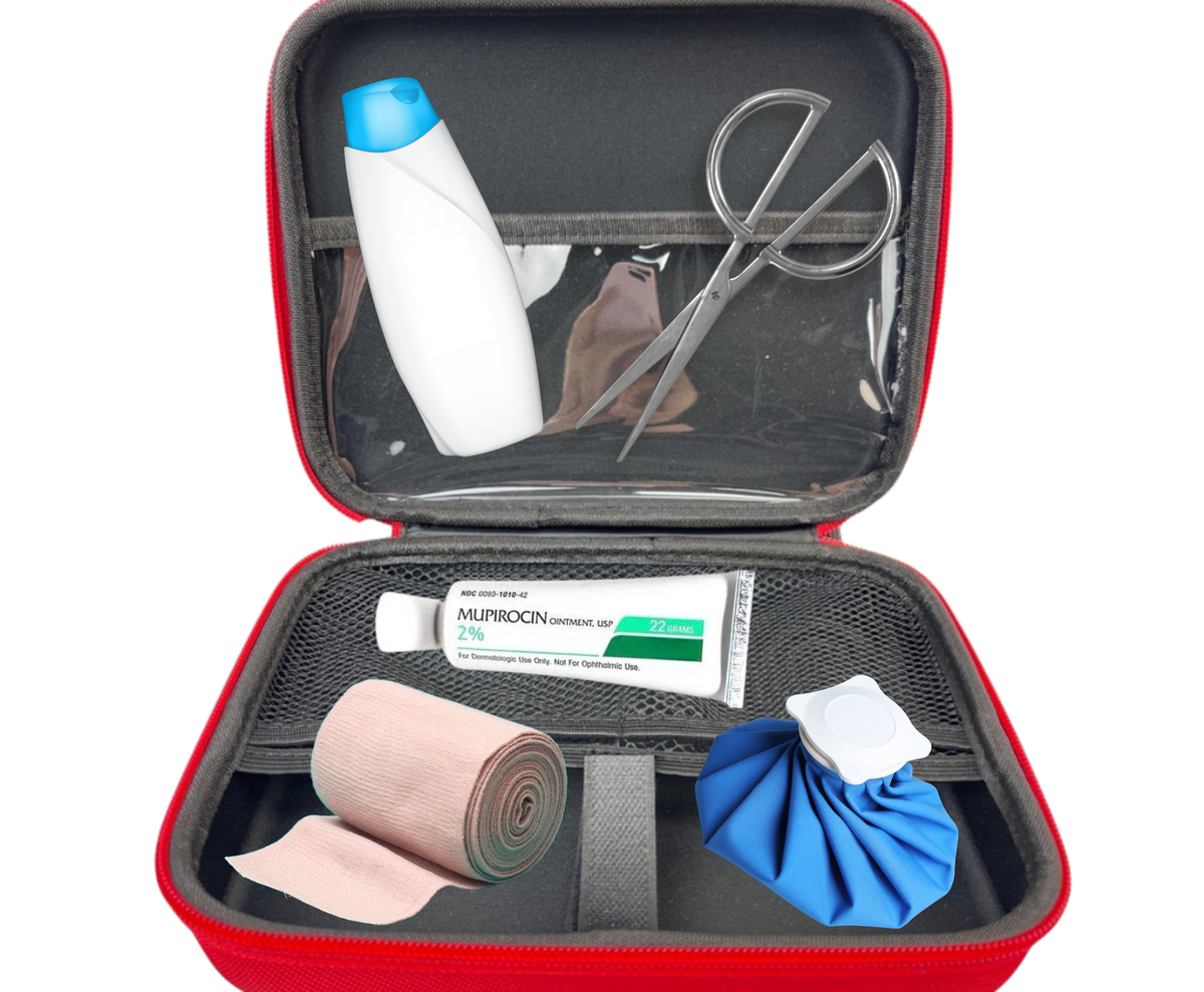 First Aid Emergency Kit The Wellness Company