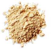 Akkermansia