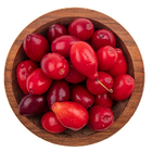 Schisandra