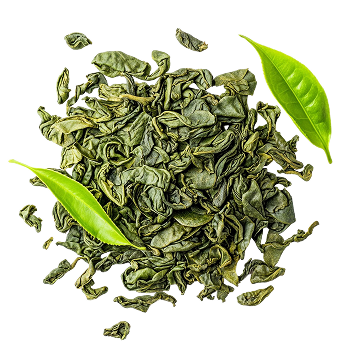 Green Tea Extract