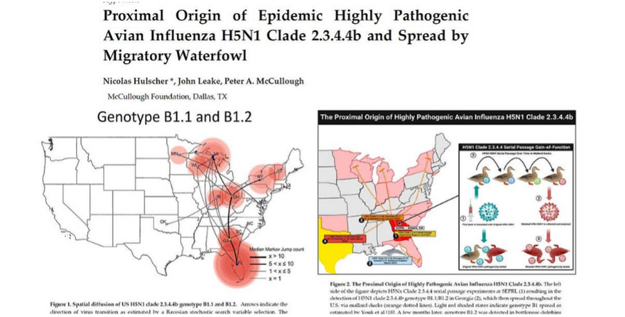 Ground Zero on Our Own Soil? The Real Pandemic