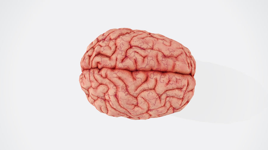 2023 Study: Nattokinase Degrades Alzheimer's Plaques in Animal Model