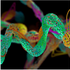 Peptide or Protein - What’s the Difference?