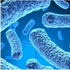 Is Leaky Gut Sabotaging Your Health?