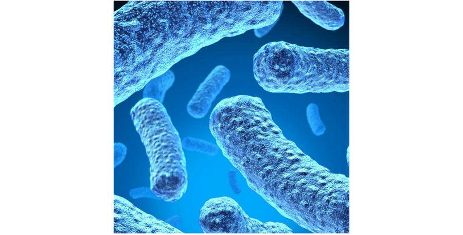 Is Leaky Gut Sabotaging Your Health?