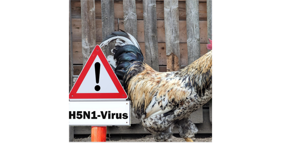 Avian Influenza - Is it Still a Threat?
