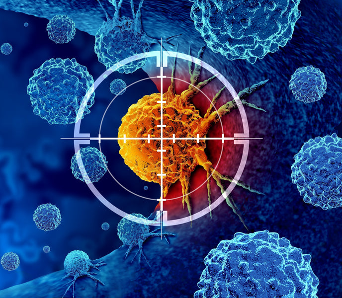 Six-Month Study Brings Hope To Cancer Patients