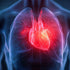 Holistic Guide to Cardiopulmonary Health