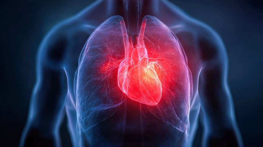 Holistic Guide to Cardiopulmonary Health