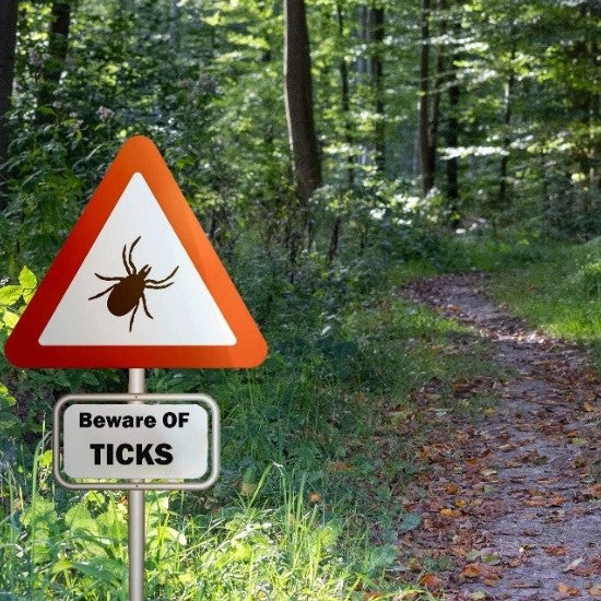Could Ivermectin + Mebendazole Relieve Chronic Lyme Symptoms?