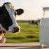Does Raw Milk Do a Body Good?