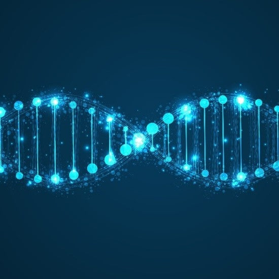 Nicotinamide Riboside – The Longevity Supplement