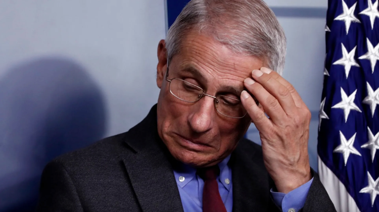 The Spike Protein Detox that Fauci Doesn't Want You To Know About