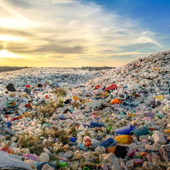 Microplastic Contamination Is Real