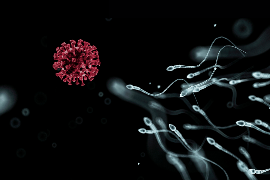 Your Sperm Count is being hijacked – How Deadly Spike Proteins are impacting male health