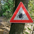 Ivermectin: A New Ally in Tick Prevention