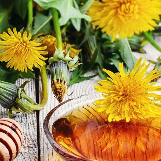 This Backyard Weed May Hold The Key to Health