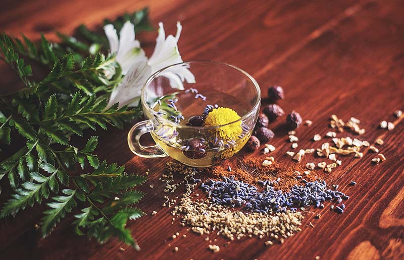 Cold & Flu: How to Treat with Herbs