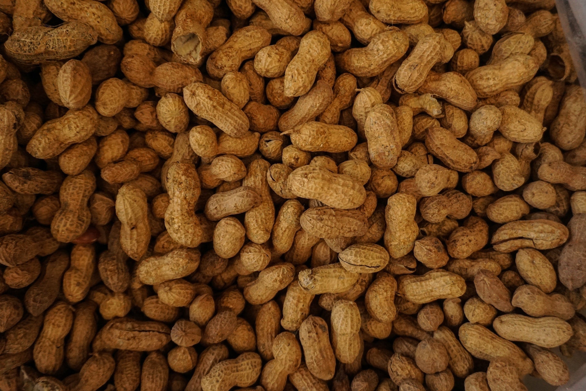 2023 Study Confirms Promising New Treatment for Peanut Allergies