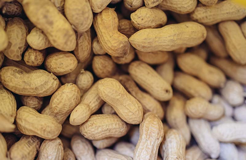 The Peanut Paradox: How Overprotection May be Making Allergies Worse