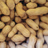 The Peanut Paradox: How Overprotection May be Making Allergies Worse