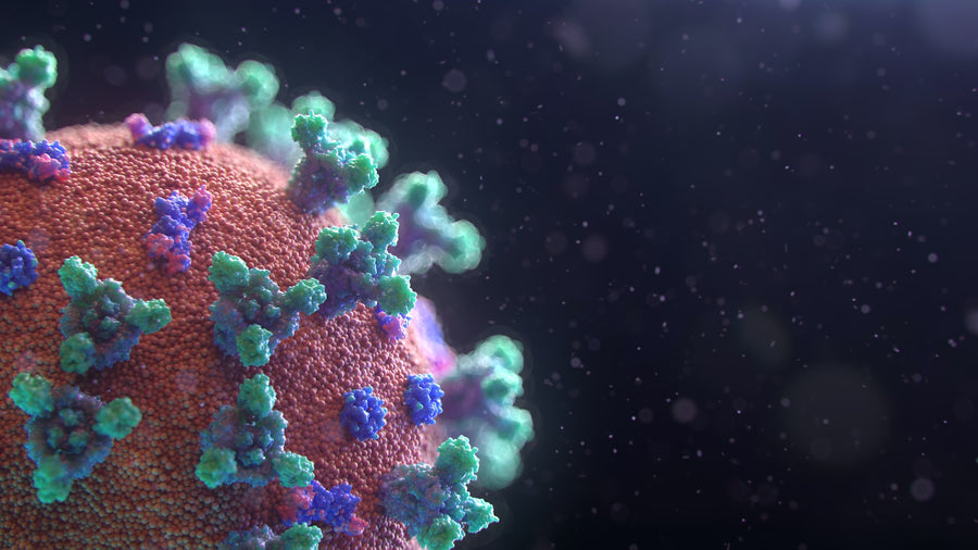 New Study Explores Effects of Spike Protein on Brains of COVID-19 Patients