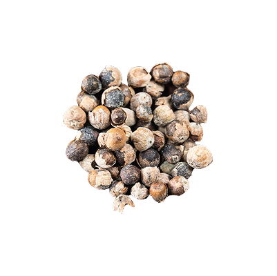 Vitex
