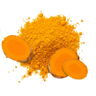 Turmeric & Ginger Root Extracts