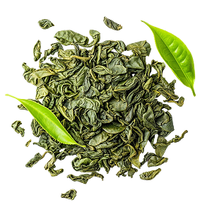 Green Tea Extract