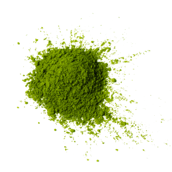 Chlorella 