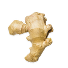 Ginger Root