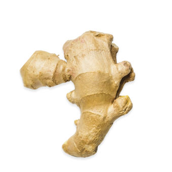 Ginger Root