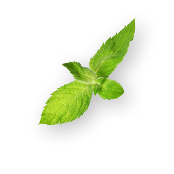 Peppermint Leaf